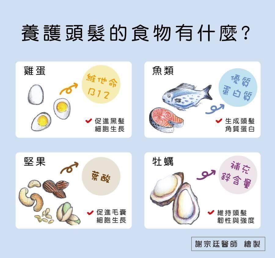 掉髮要補充什麼食物清單