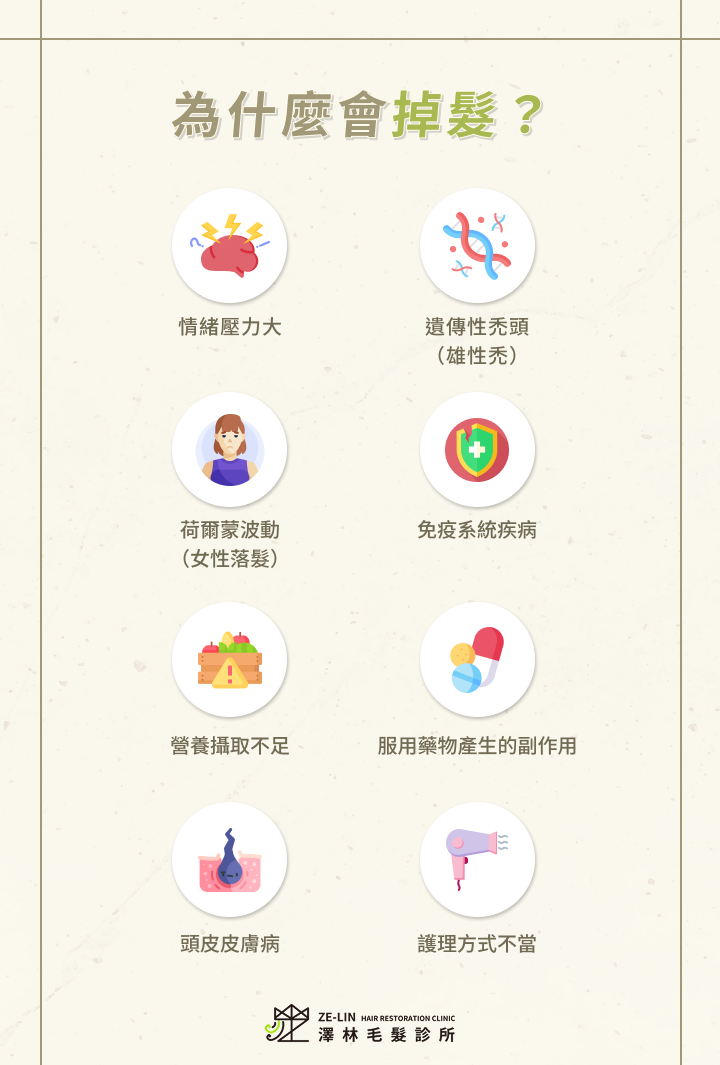 為什麼會掉髮？